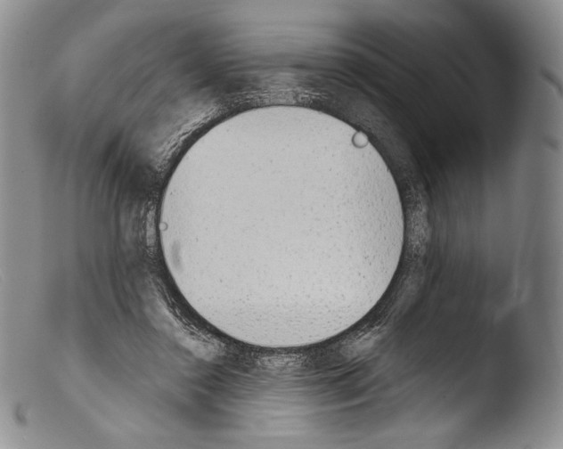 X0000103960356200810311619