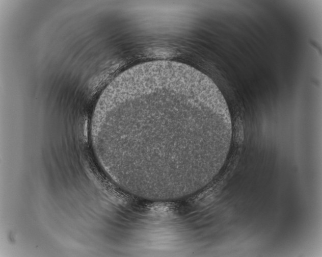 X0000103960358200810311619