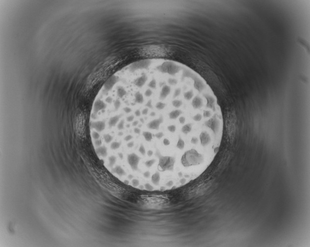X0000103960359200810311619