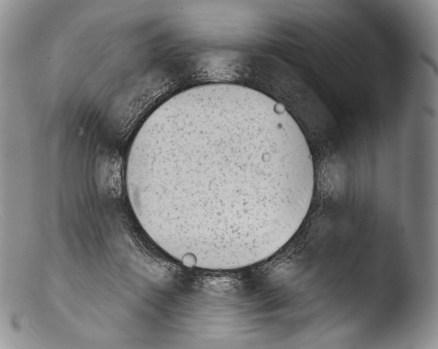 X0000103960360200810311619