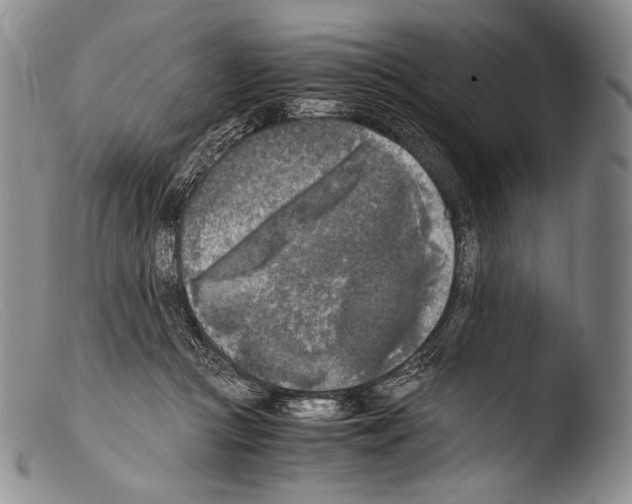 X0000103960361200810311620