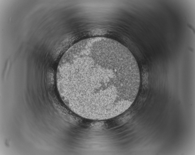 X0000103960362200810311620