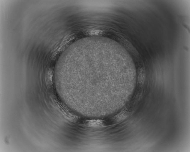 X0000103960363200810311620