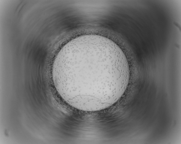 X0000103960364200810311620