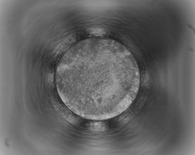 X0000103960365200810311620