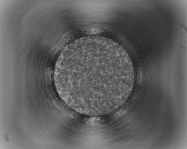 X0000103960366200810311620