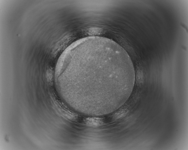 X0000103960367200810311620