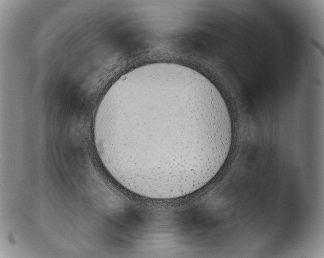 X0000103960368200810311620