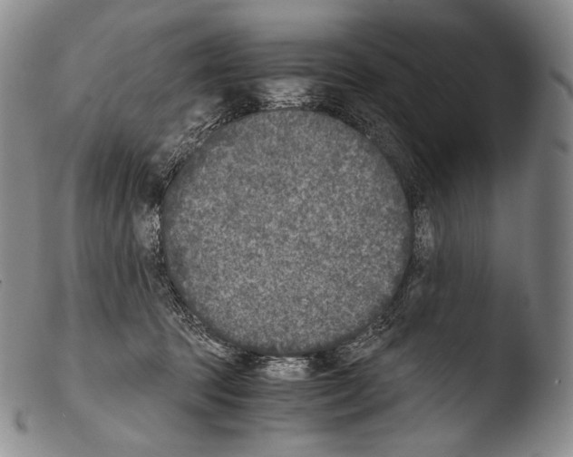 X0000103960369200810311620