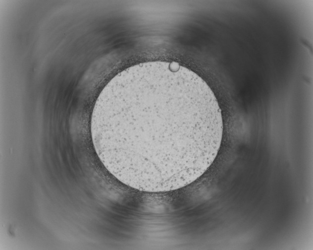 X0000103960372200810311620