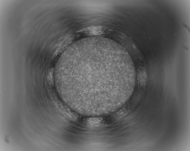 X0000103960373200810311620