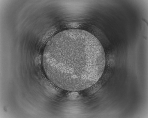 X0000103960374200810311620