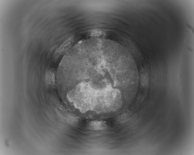 X0000103960375200810311620