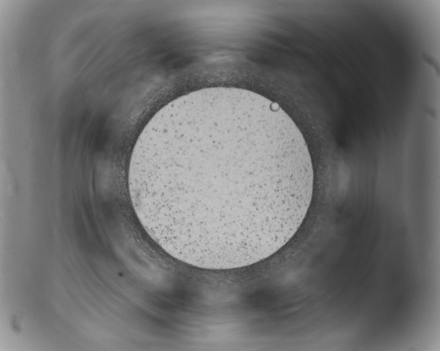 X0000103960376200810311620