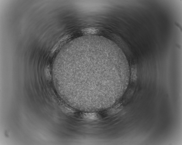 X0000103960377200810311620