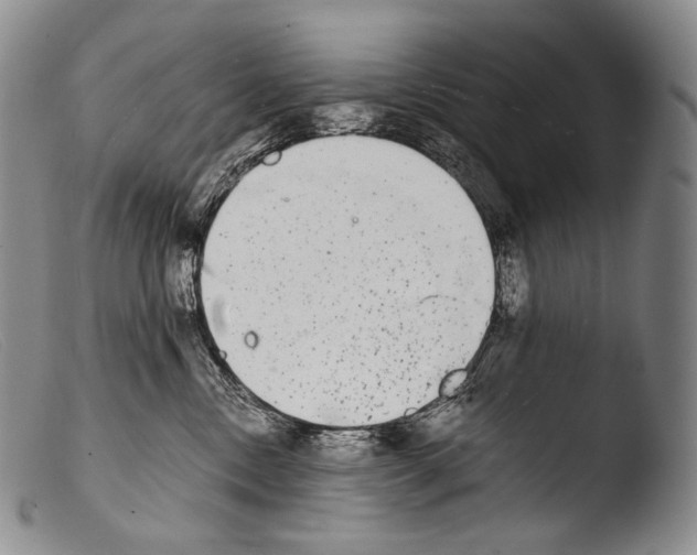 X0000103960378200810311620