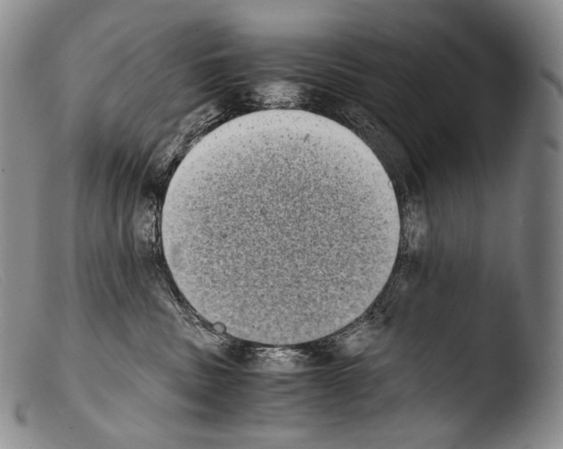 X0000103960379200810311620