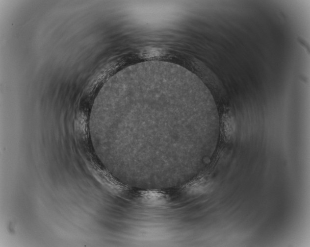 X0000103960380200810311620