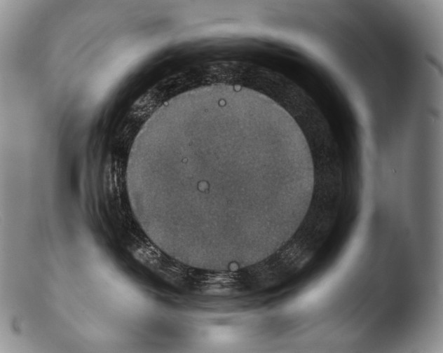 X0000103960382200810311620