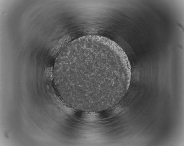 X0000103960383200810311620