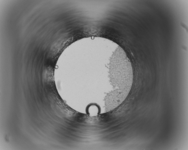 X0000103960384200810311620
