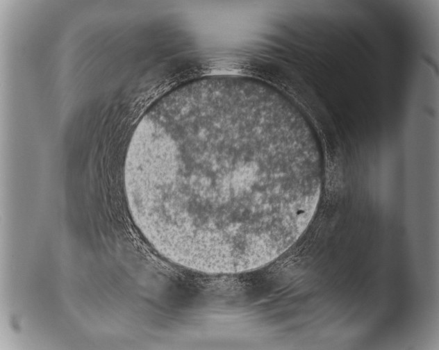 X0000103960385200810311619