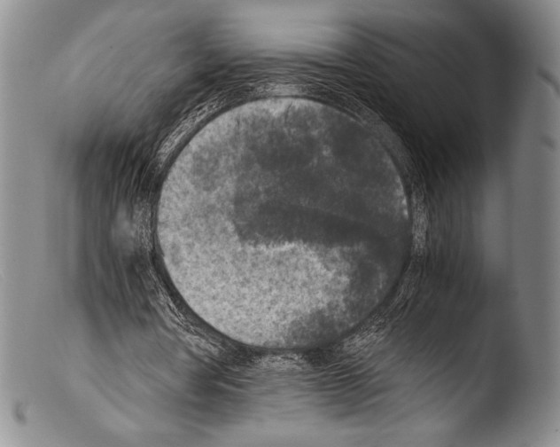 X0000103960386200810311619