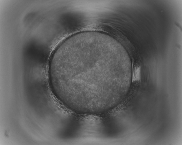 X0000103960387200810311619