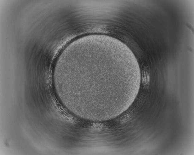 X0000103960388200810311619