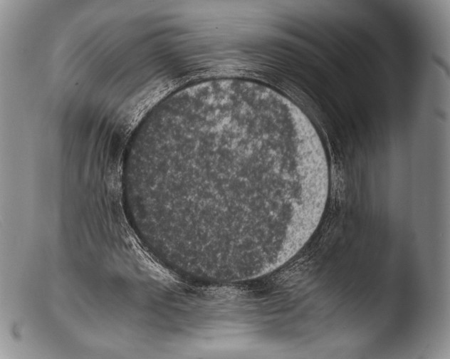 X0000103960389200810311619