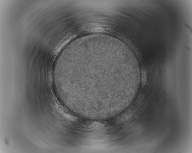 X0000103960390200810311619