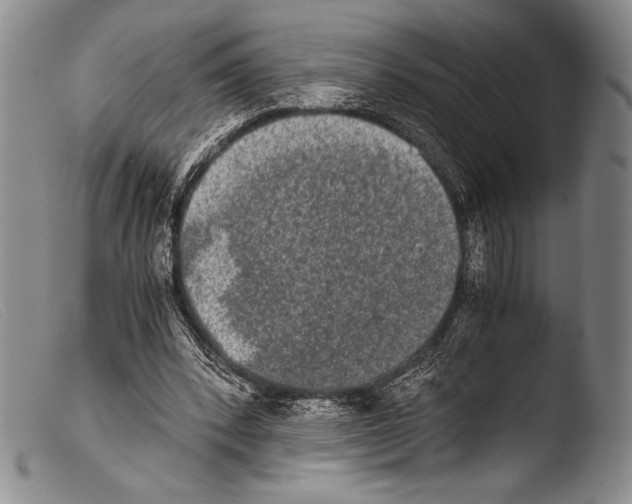 X0000103960392200810311619