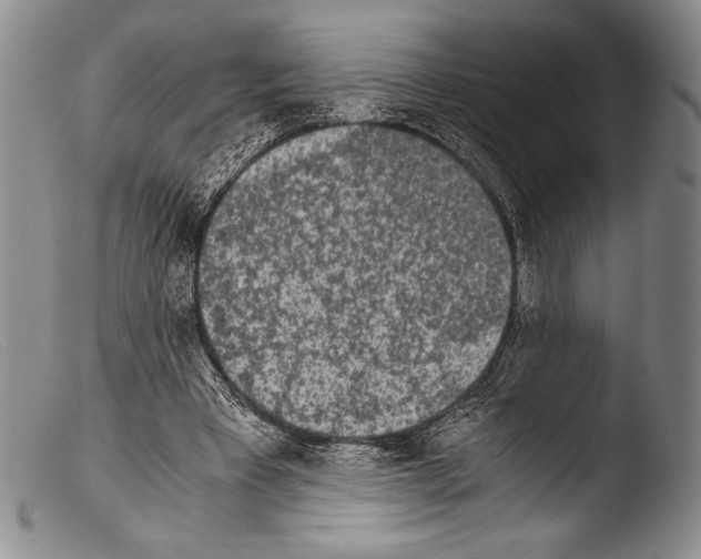 X0000103960393200810311619