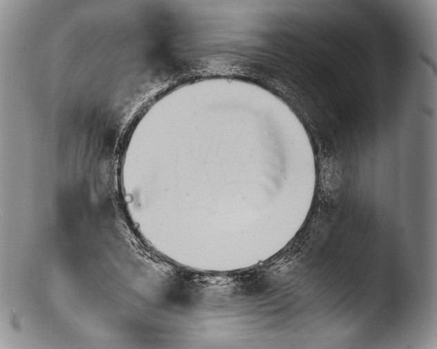 X0000103960395200810311619