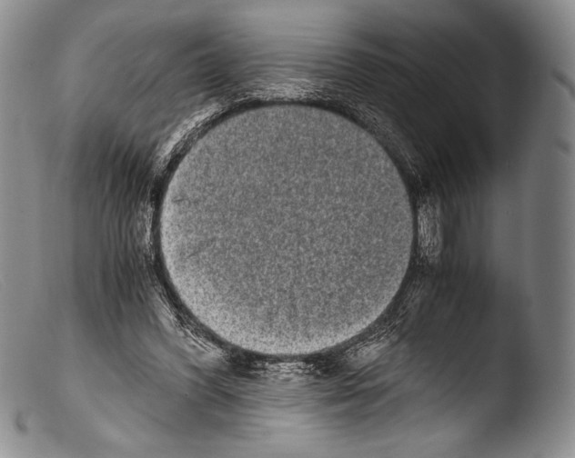 X0000103960396200810311619