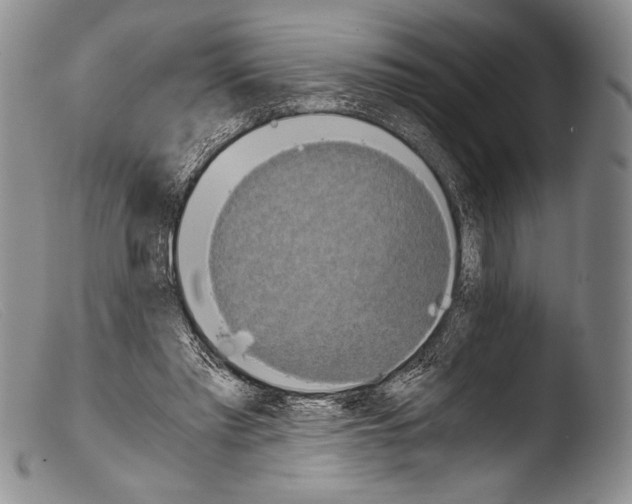 X0000103960397200810311619