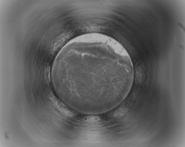 X0000103960398200810311619