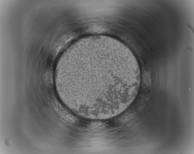 X0000103960399200810311619