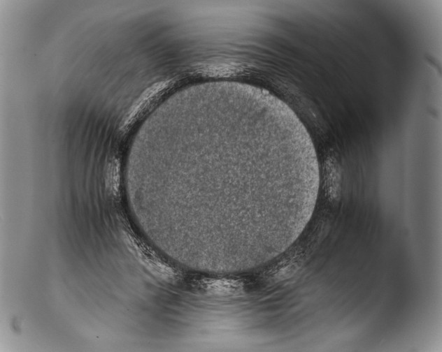X0000103960400200810311619