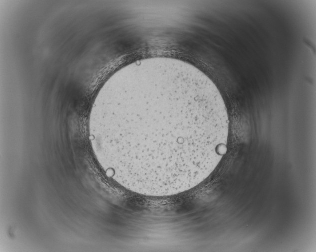 X0000103960401200810311619