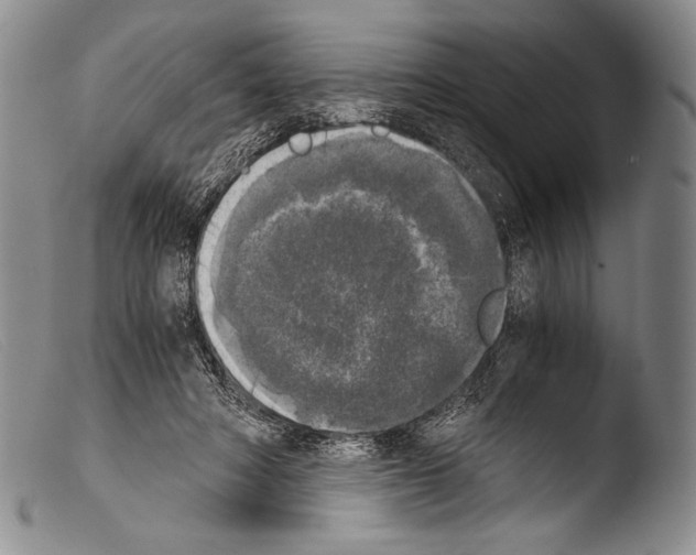 X0000103960402200810311619