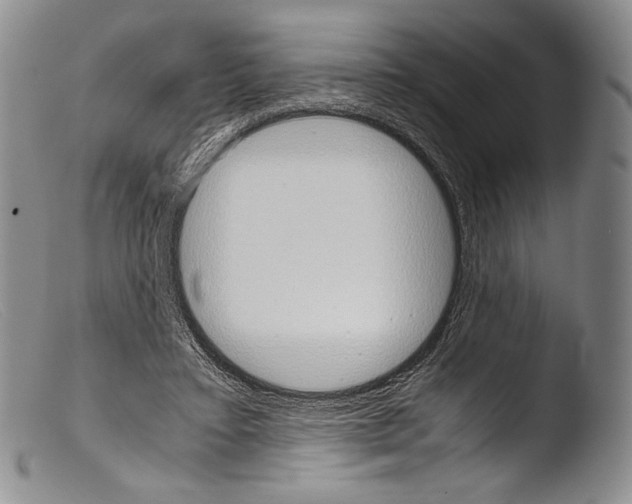 X0000103960403200810311619
