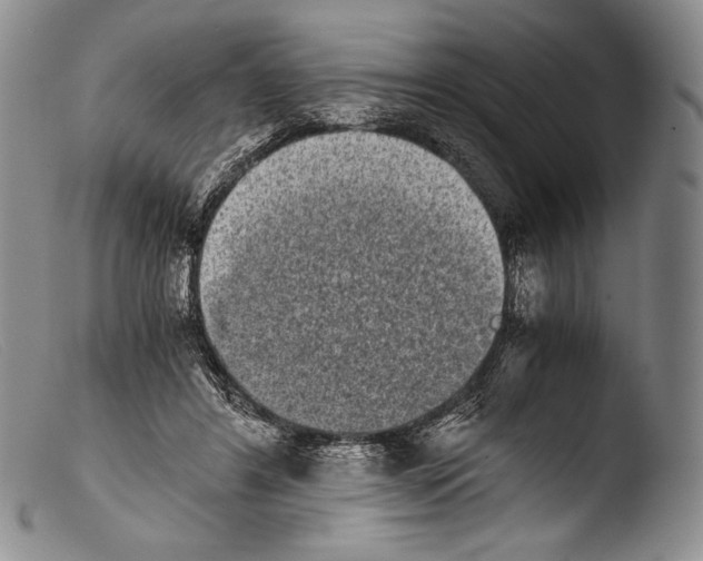 X0000103960404200810311619