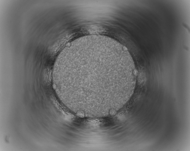 X0000103960405200810311619