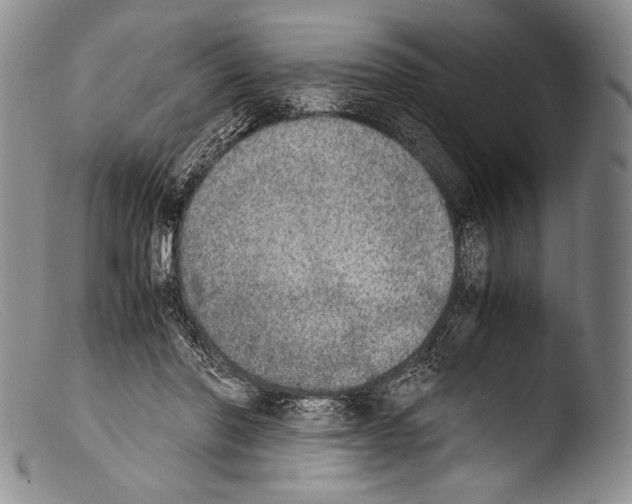 X0000103960406200810311619