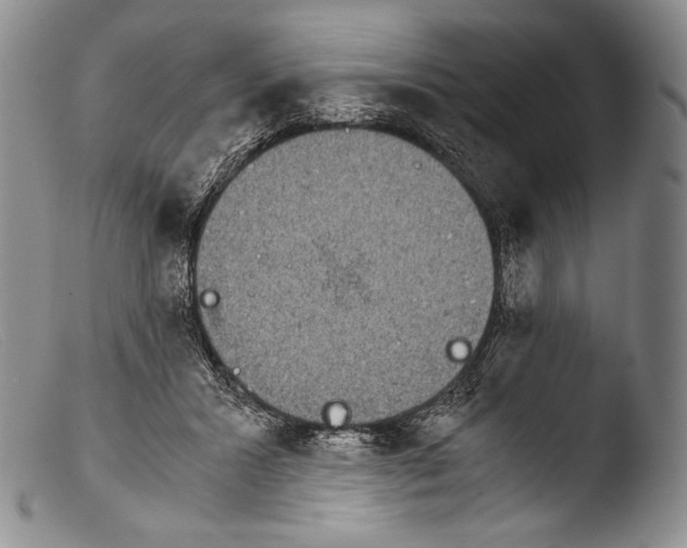 X0000103960407200810311619