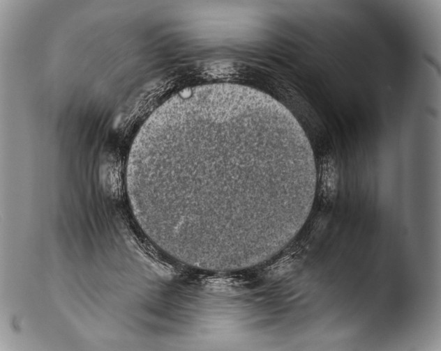 X0000103960408200810311619