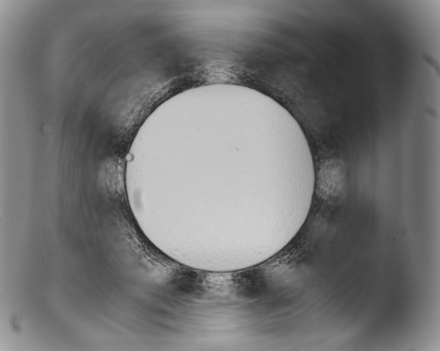 X0000103960413200810311619