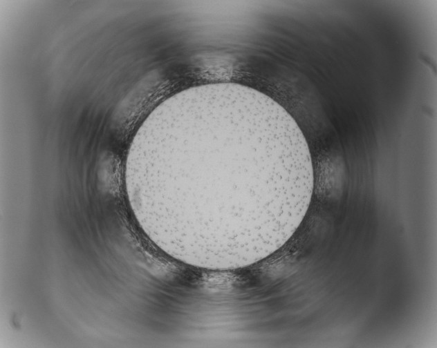 X0000103960414200810311619