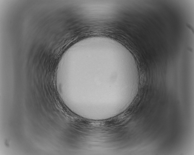 X0000103960415200810311619